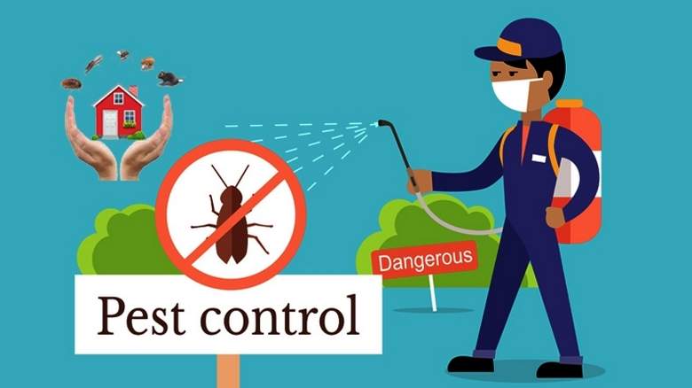 Pest control near me